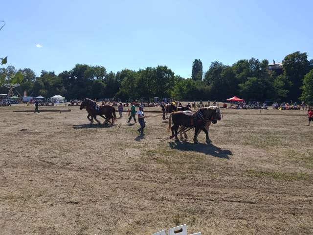 IMG_20260808_153712